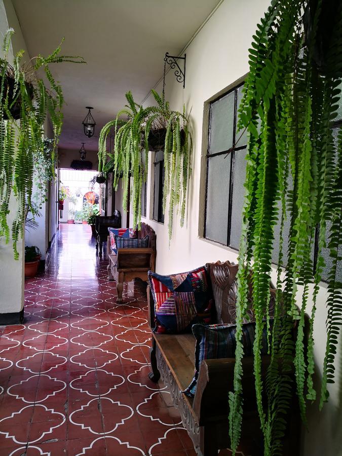 Hospedaje El Viajero Antigua Lli ภายนอก รูปภาพ